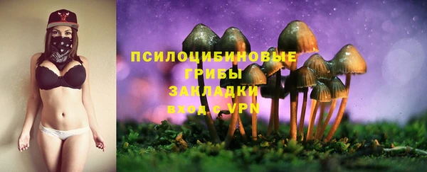 таблы Каменногорск