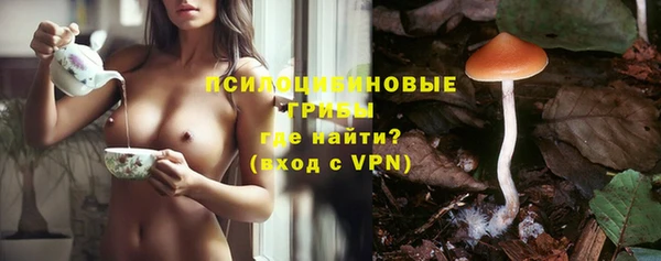 шишки Абинск