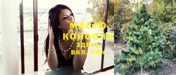 PSILOCYBIN Каменка