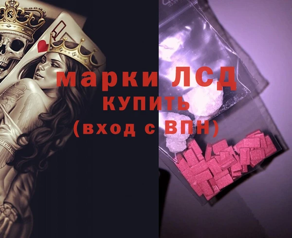 PSILOCYBIN Каменка