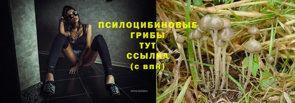 винт Нея
