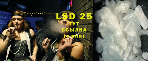 PSILOCYBIN Каменка