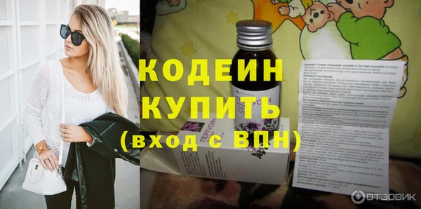 прущий лед Бородино