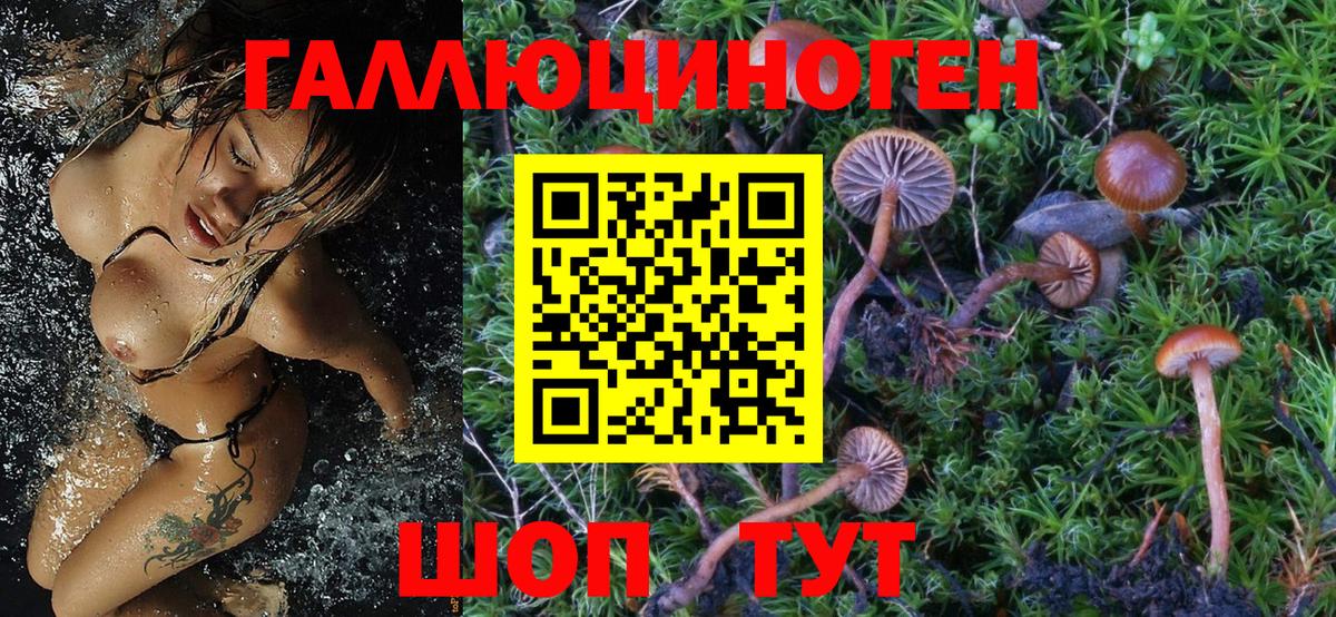 Галлюциногенные грибы мицелий Тында