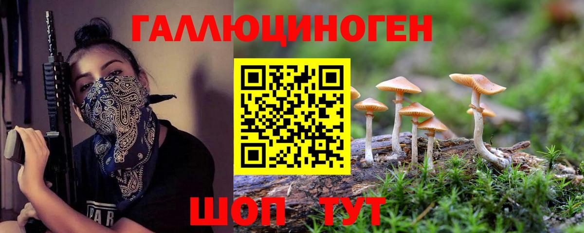 Псилоцибиновые грибы Cubensis Тында