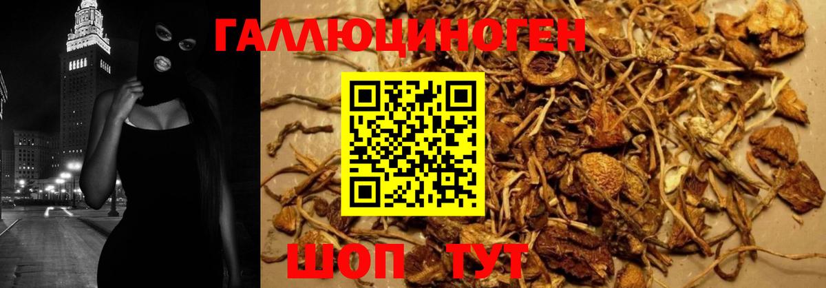 Галлюциногенные грибы мухоморы  хочу наркоту  Тында 