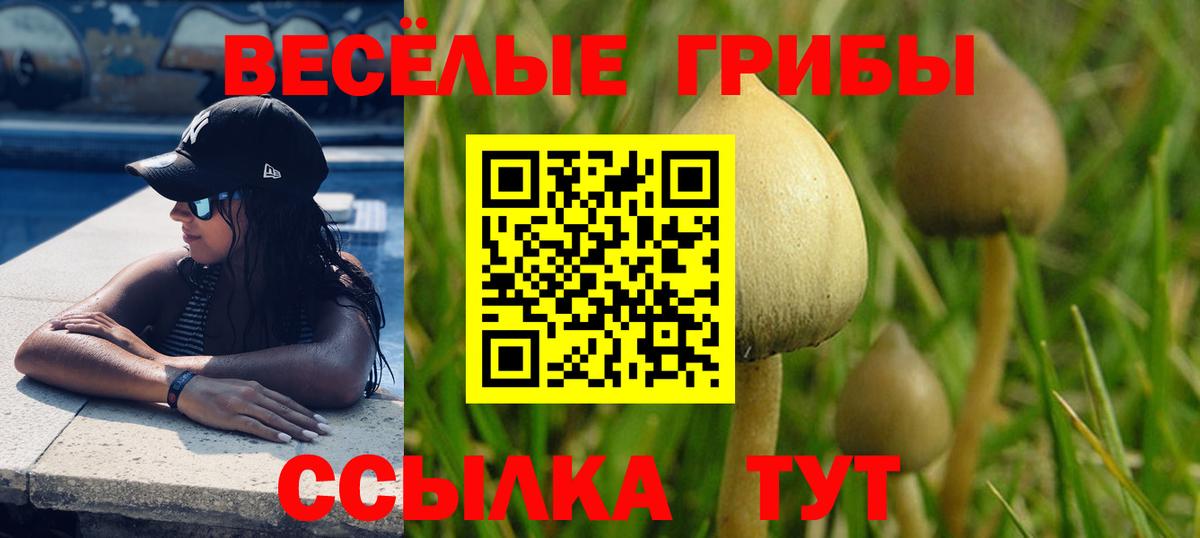 Галлюциногенные грибы Cubensis  Вход с VPN  Тында 