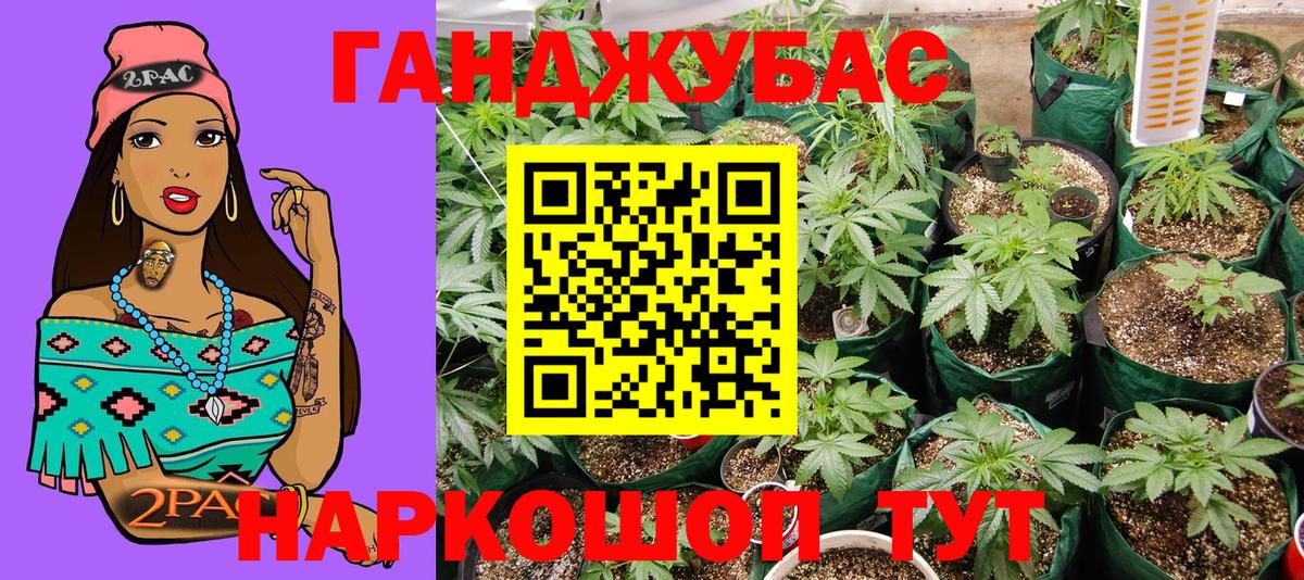 Конопля индика  Бошки марихуана план  Конопля AK-47  Бошки Шишки SATIVA & INDICA  Тында 
