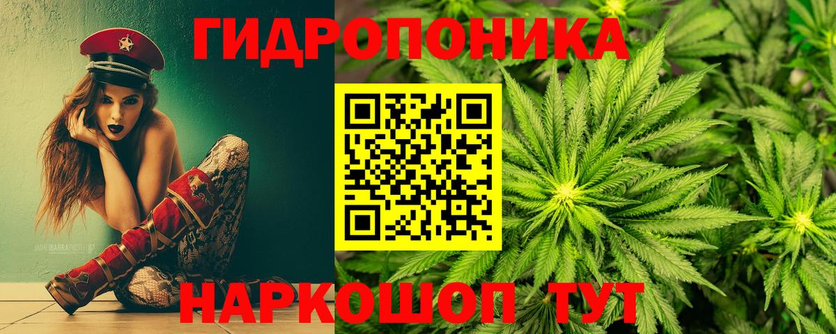 Марихуана семена Тында